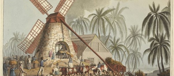 A Short History of Slavery and Sugar Cane in Jamaica