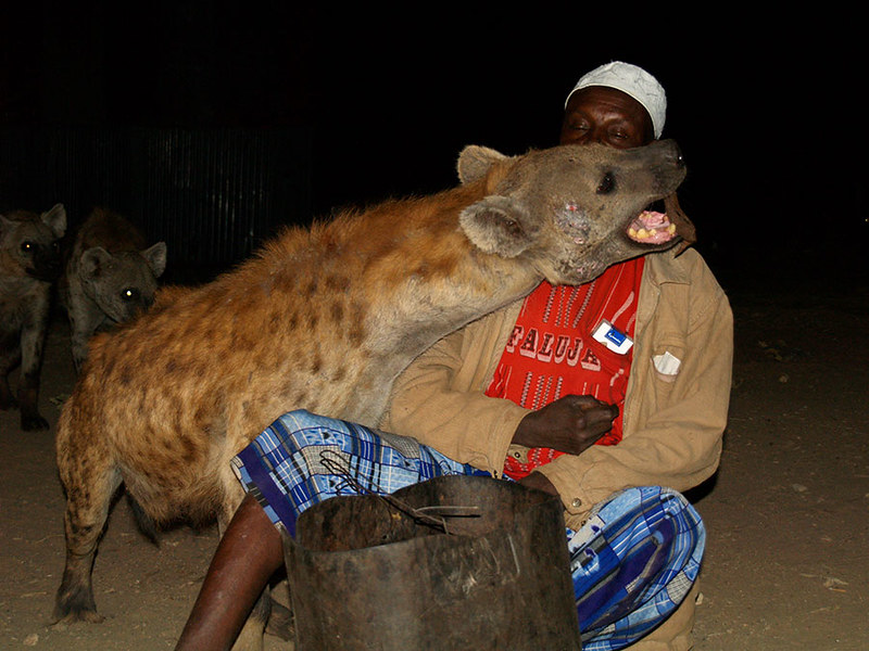 Ethiopia: The hyena men of Harar