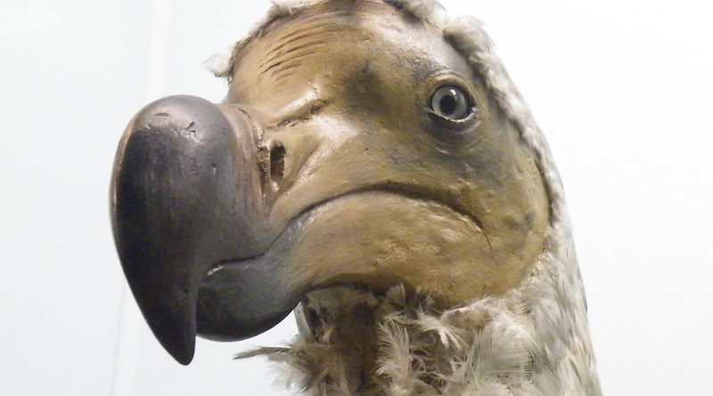 Dead as a Dodo: The Extinct Bird of Mauritius – PILOT GUIDES