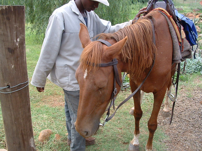 Pony Trekking in Lesotho