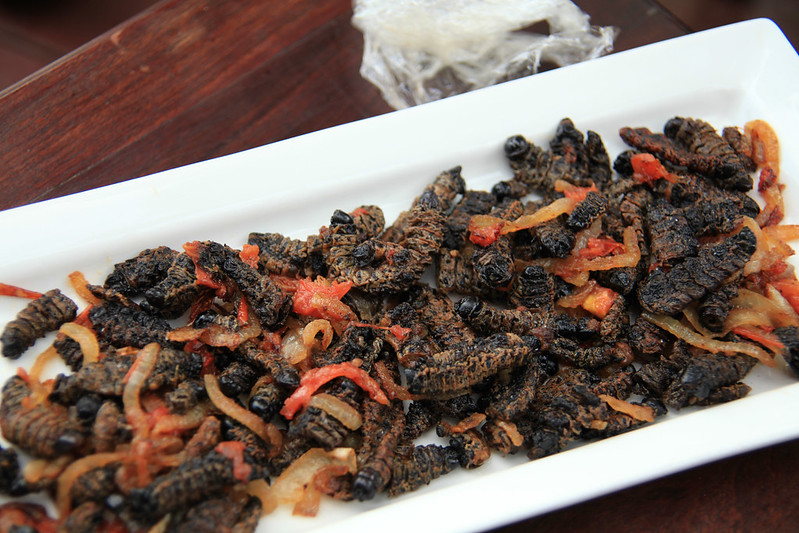 Crunchy Delights: Snack on Mopani Worms