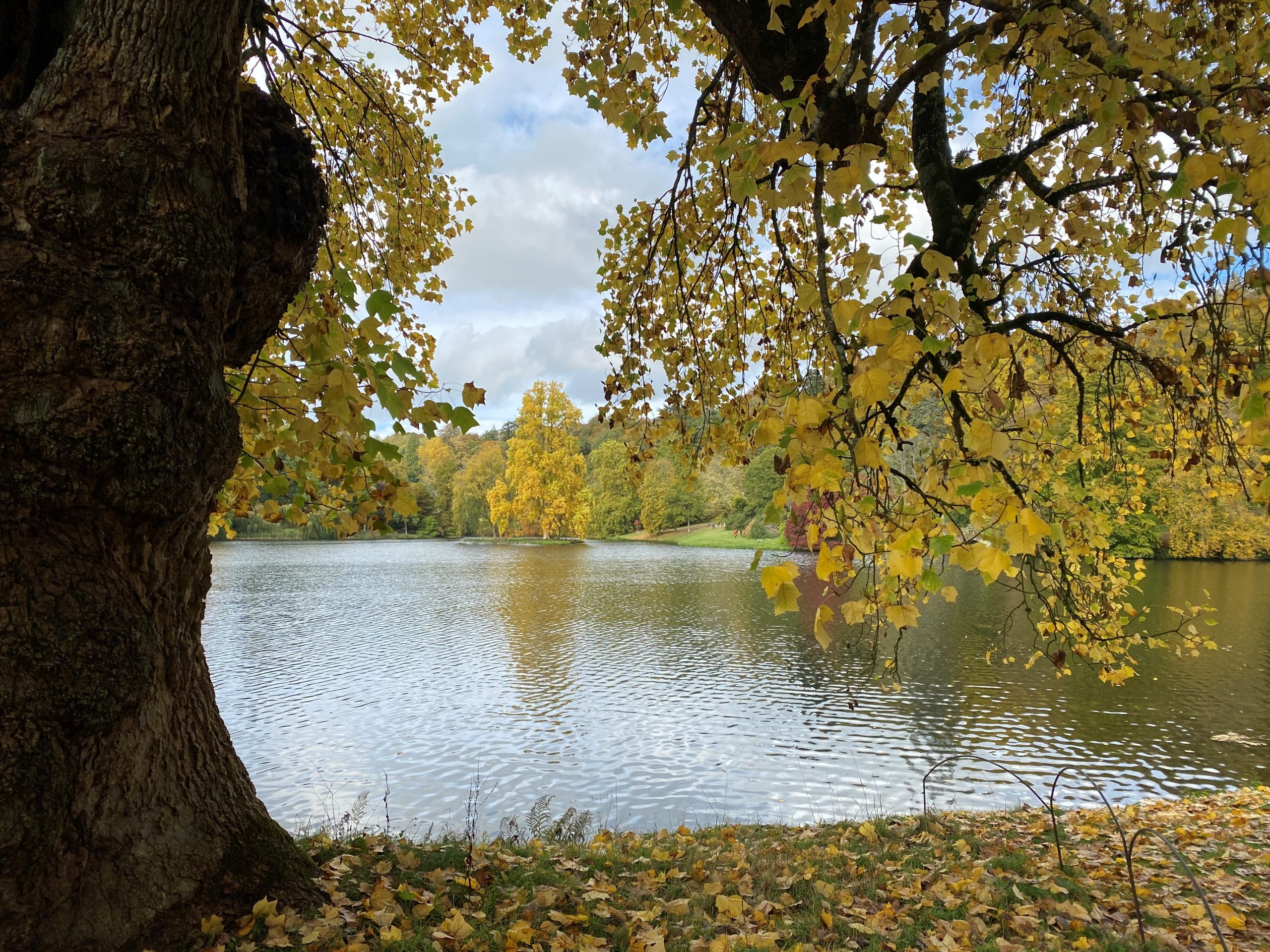 England’s autumn leaves