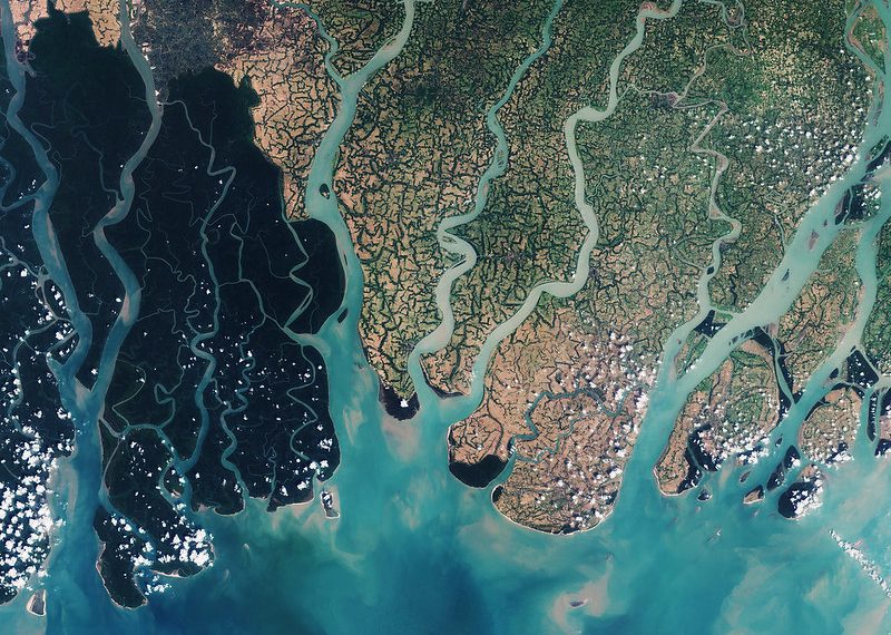 World’s Largest Mangrove Swamp; The Sundarbans