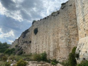 Norman castle remains