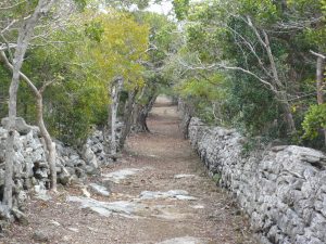 Wade’s Green Plantation