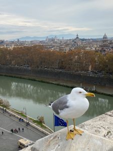 Tiber II