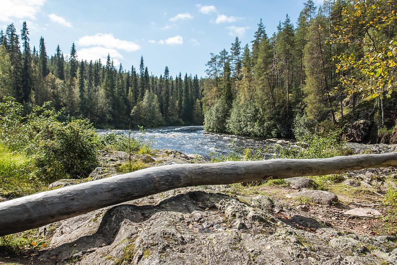 Hiking in Finland: The Bear Rings Trail