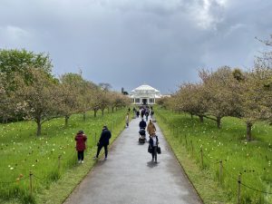 Temperate House, Kew Gardens