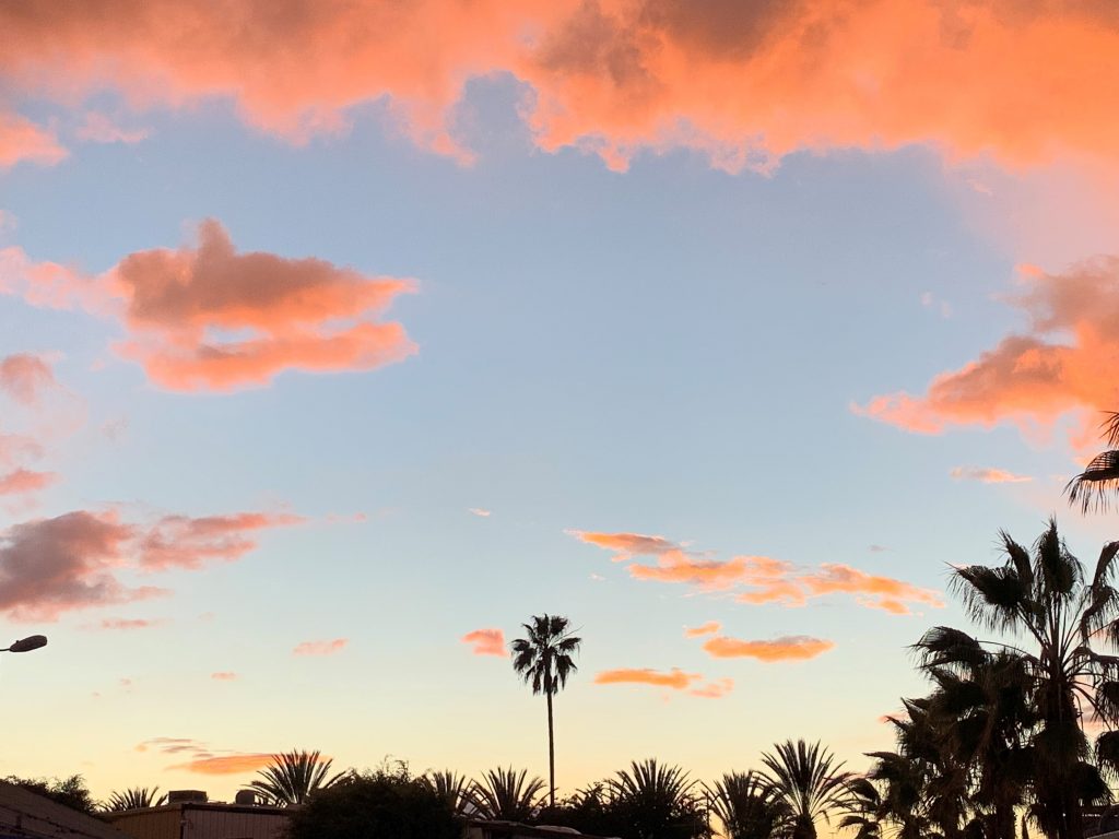 La art museums