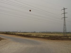 Volunteer on a Kibbutz