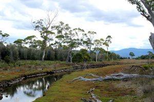 Maria Island,