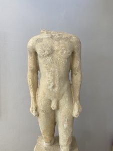 Male kouri