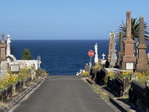 Pacific Seaview from the Cemetery