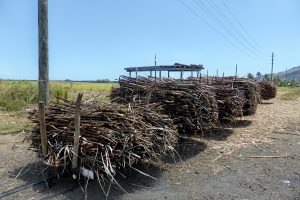 Sugar trains still operate on Viti Levu