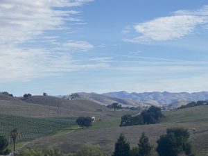 Santa Ynez