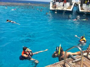 The Red Sea