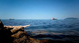 The Black Sea