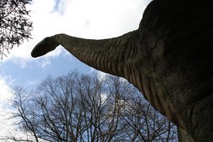 Lost Dinosaurs of Argentina