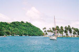 DOMINICA