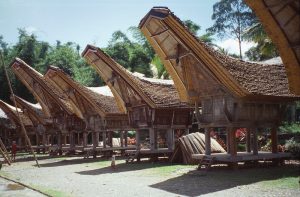 Sulawesi