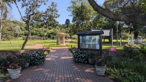 The Durban Botanic Gardens