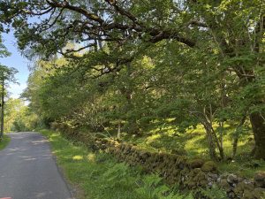 Most roads on Mull are  single track