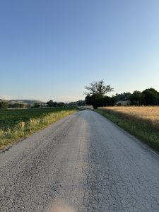Marche