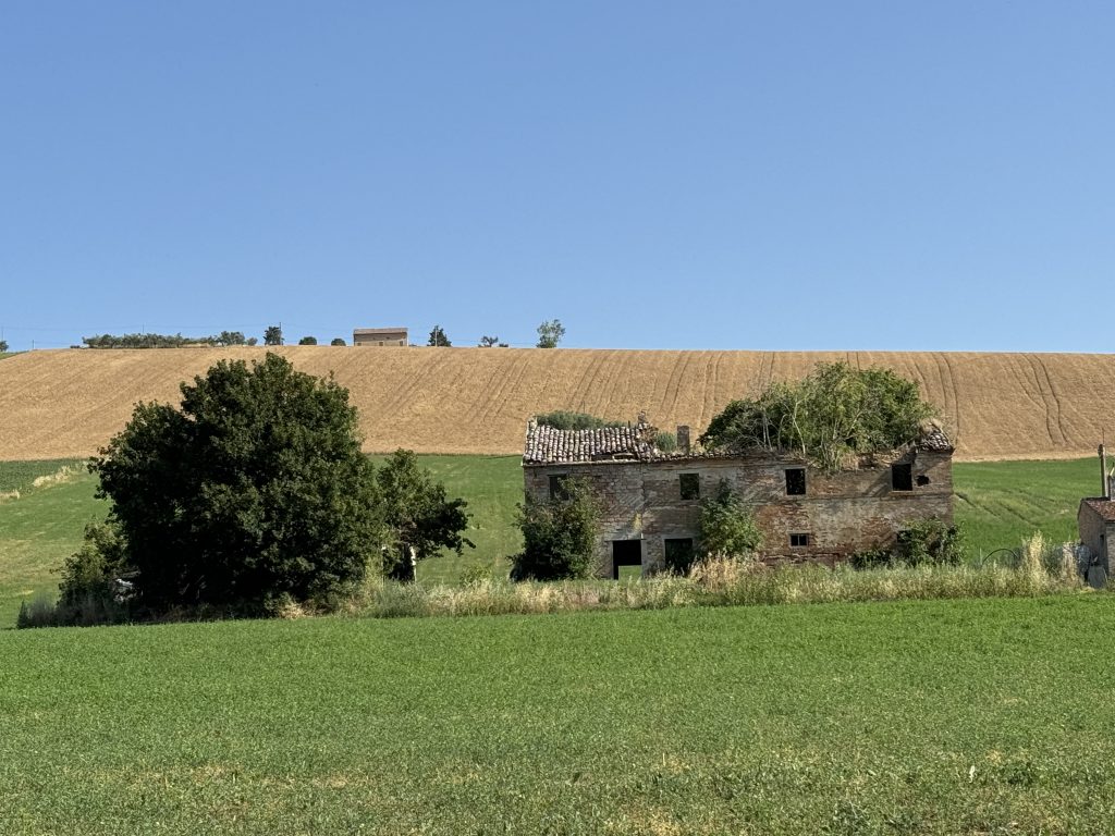 Marche