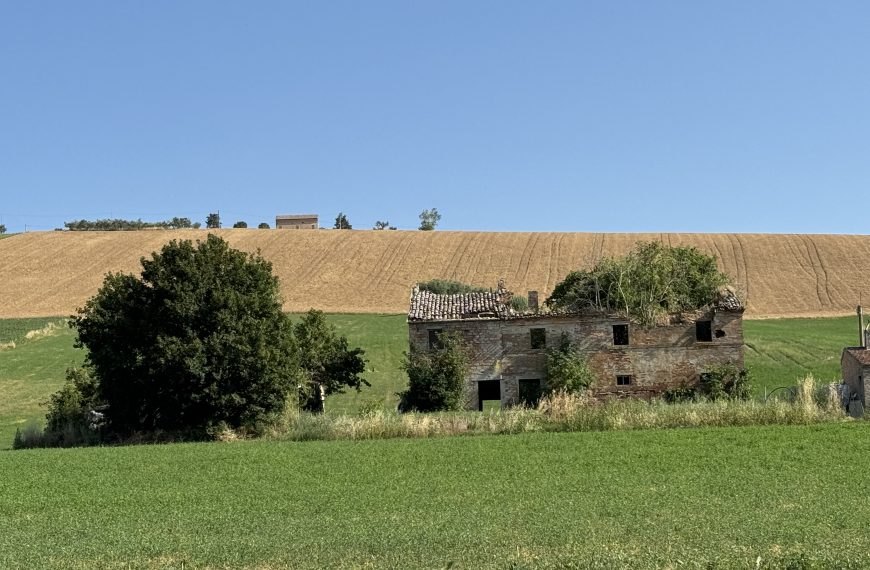 Marche