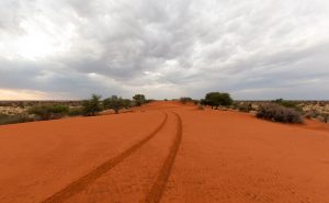 Kalahari Desert