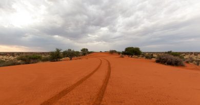 Kalahari Desert