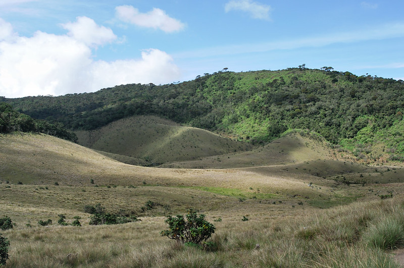 Horton Plains National Park
