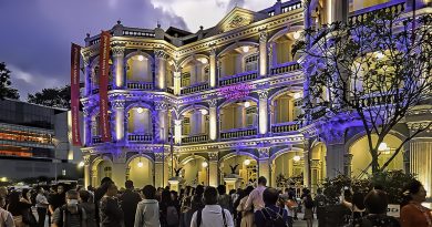 The Peranakan Nonya