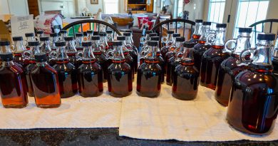 Maple Syrup