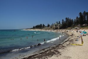 Australia’s Deadly Shark Attacks