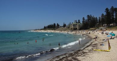 Australia’s Deadly Shark Attacks