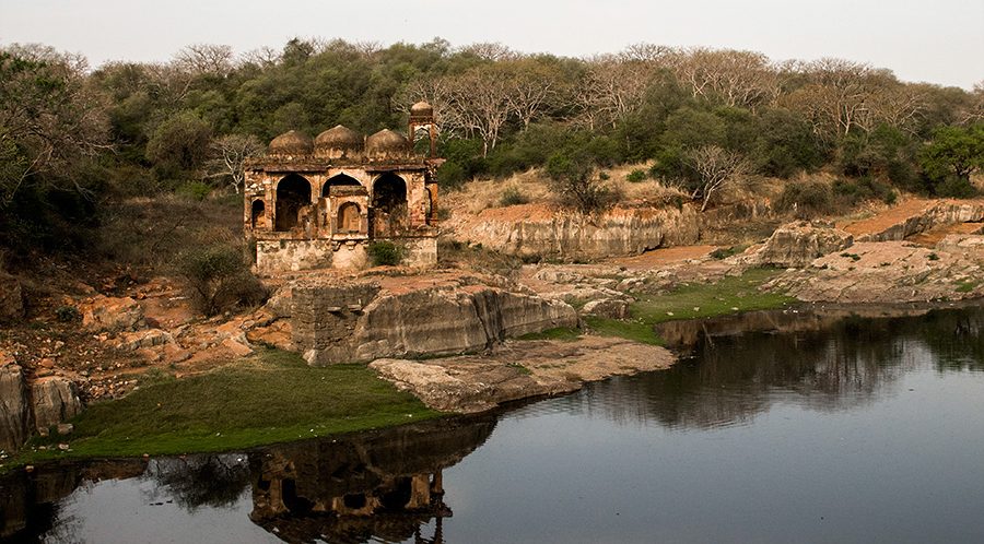 Ranthambore Fort (Ranthambore National Park)