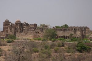 Chittorgarh Fort (Chittorgarh)
