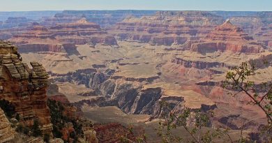 The Grand Canyon