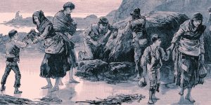 The Irish Potato Famine