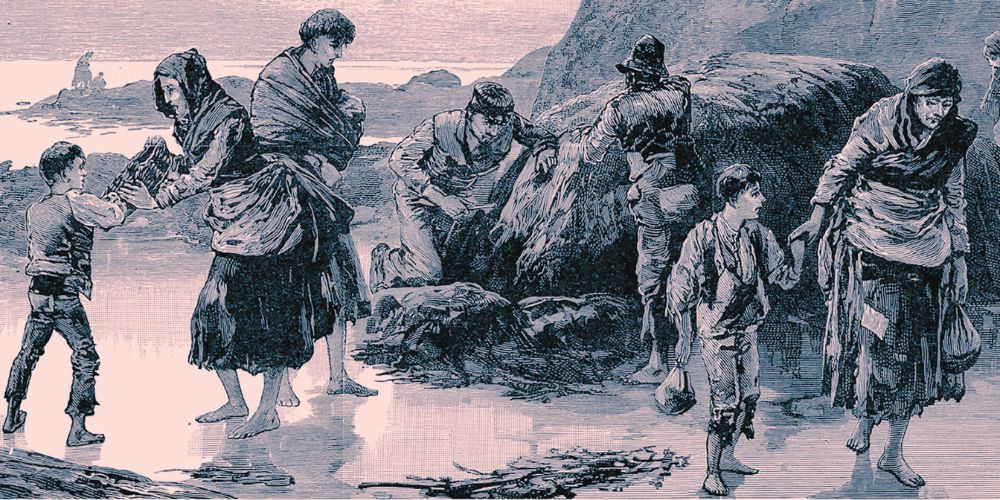 The Irish Potato Famine