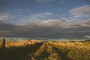 Great Plains