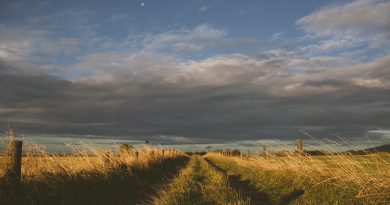Great Plains