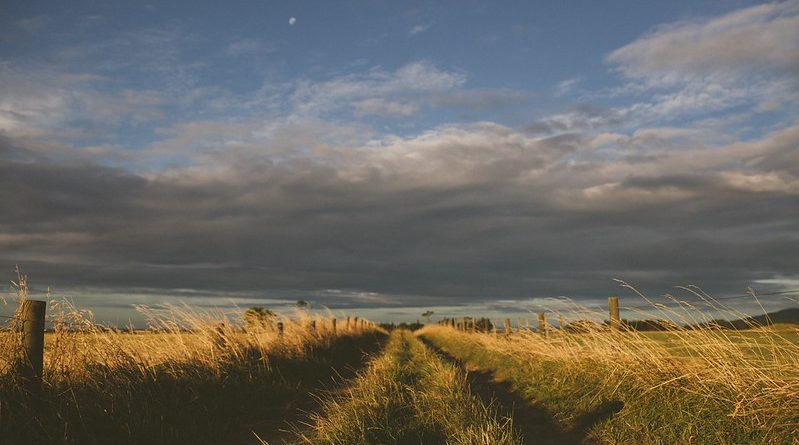 Great Plains