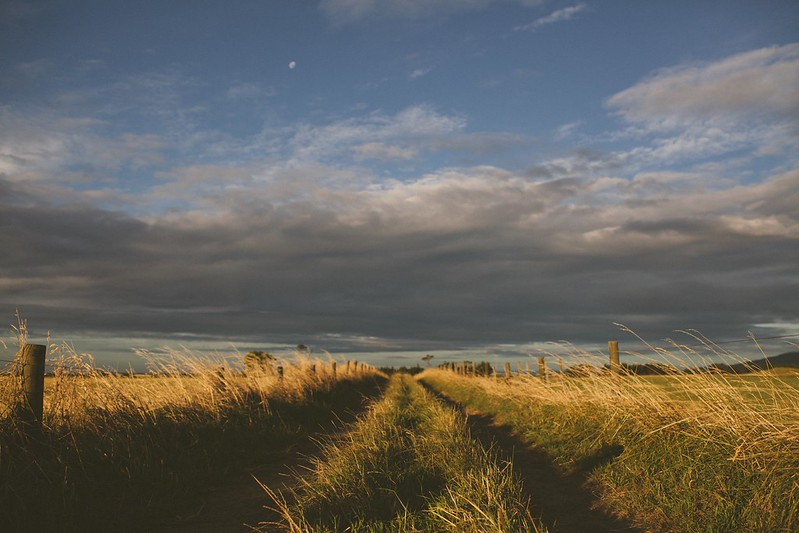 Great Plains