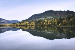 Willamette Valley