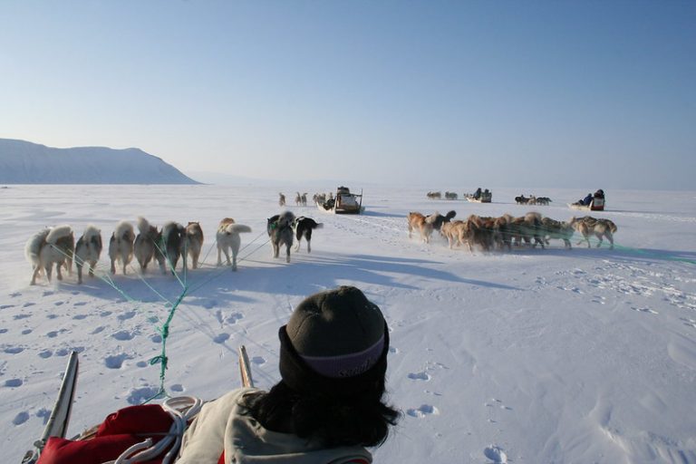 Inuits Using The Consensus Method The Inuit: Surviving in the Arctic - PILOT GUIDES