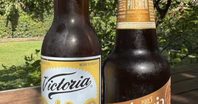 Mexican Beer