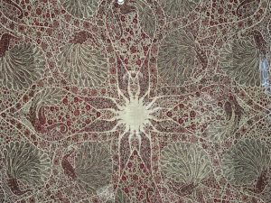 Pashmina