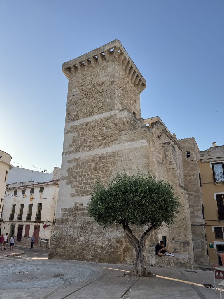 Mahón Top 5 6